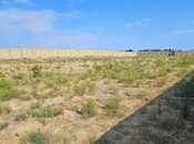 Объявление №5959428 - Баку, пос. Новханы, 22 сот