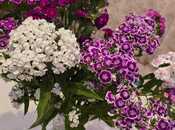 Продаётся 4-комн. дом/дача 110 м², пос. 7-ой мкр, photo 5 from 8