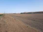 Satılır  torpaq 100 sot, Qobu q., photo 7 from 8