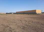 Elan №5959569 - Bakı, Qobu q., 100 sot