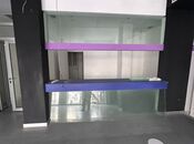 İcarəyə verilir  obyekt 200 m², Nizami m., photo 2 from 8