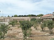 Объявление №5959768 - Баку, пос. Бина, 20 сот