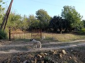 Satılır 2 otaqlı həyət evi/bağ evi 130 m², photo 6 from 8