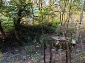 Satılır 2 otaqlı həyət evi/bağ evi 130 m², photo 8 from 8