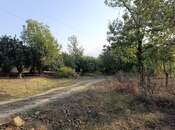 Satılır 2 otaqlı həyət evi/bağ evi 130 m², photo 4 from 8