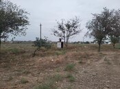 Satılır  torpaq 58 sot, photo 6 from 6