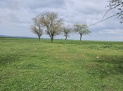 Satılır  torpaq 58 sot, photo 2 from 6