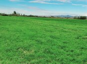 Объявление №5960154 - Ахсу, Ахсу, 20000 сот