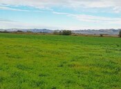 Продаётся  участок 20 000 сот, photo 2 from 8