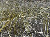 Satılır  torpaq 5 sot, Dübəndi q., photo 7 from 7