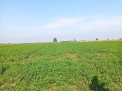 Объявление №5960461 - Евлах, Евлах, 608 сот