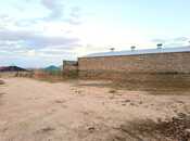 Объявление №5960493 - Баку, пос. Мамедли, 10 сот