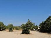 Satılır  torpaq 2 sot, Memar Əcəmi m., photo 2 from 3