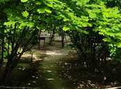 Объявление №5961515 - Баку, м. Насими, 6 сот