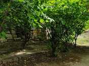 Продаётся  участок 6 сот, м. Насими, photo 2 from 4