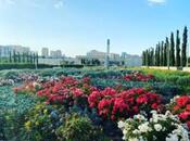 Продаётся 4-комн. новостройка 170 м², м. Элмляр Академиясы, photo 1 from 8