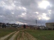 Участок - Шемаха - 556 сот