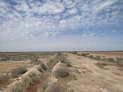 Elan №5963167 - Neftçala, Neftçala, 602.5 sot