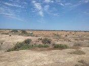 Satılır  torpaq 602.5 sot, photo 6 from 8