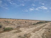 Satılır  torpaq 602.5 sot, photo 3 from 8