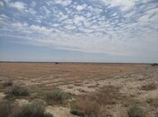 Satılır  torpaq 602.5 sot, photo 7 from 8