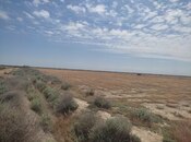 Satılır  torpaq 602.5 sot, photo 8 from 8