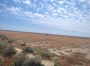 Satılır  torpaq 602.5 sot, photo 2 from 8