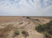 Satılır  torpaq 602.5 sot, photo 4 from 8