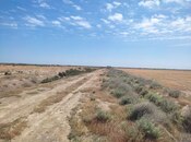 Satılır  torpaq 602.5 sot, photo 5 from 8