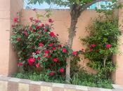 İcarəyə verilir 9 otaqlı həyət evi/bağ evi 500 m², Xalqlar Dostluğu m., photo 8 from 8