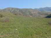 Продаётся  участок 300 сот, photo 2 from 3