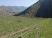 Elan №5963275 - Yardımlı, Yardımlı, 300 sot