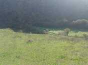 Продаётся  участок 300 сот, photo 3 from 3