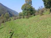 Продаётся  участок 50 сот, photo 5 from 5