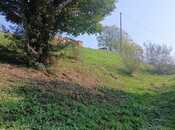 Продаётся  участок 50 сот, photo 4 from 5