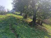 Продаётся  участок 50 сот, photo 2 from 5