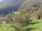 Elan №5963338 - Yardımlı, Yardımlı, 50 sot