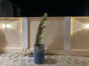 Продаётся 6-комн. дом/дача 230 м², Абшеронcкий  р., photo 3 from 8