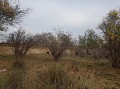 Продаётся  участок 2 000 сот, photo 4 from 4