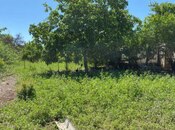 Продаётся 3-комн. дом/дача 100 м², photo 4 from 4