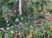 Продаётся 9-комн. дом/дача 655 м², Бинагадинский р., photo 8 from 8