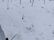 Сдаётся 3-комн. дом/дача 100 м², photo 5 from 8