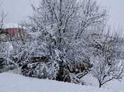 Сдаётся 3-комн. дом/дача 100 м², photo 6 from 8