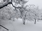 Сдаётся 3-комн. дом/дача 100 м², photo 4 from 8