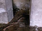 Продаётся  объект 99 м², м. Сахил, photo 6 from 8