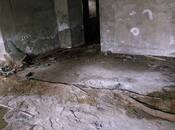 Продаётся  объект 99 м², м. Сахил, photo 2 from 8