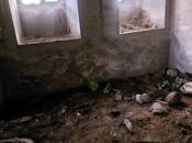 Продаётся  объект 99 м², м. Сахил, photo 4 from 8