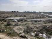 Satılır  torpaq 1 100 sot, Buzovna q., photo 1 from 4