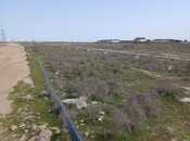 Satılır  torpaq 1 100 sot, Buzovna q., photo 4 from 4