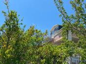 Продаётся 8-комн. дом/дача 300 м², Сураханский  р., photo 6 from 8